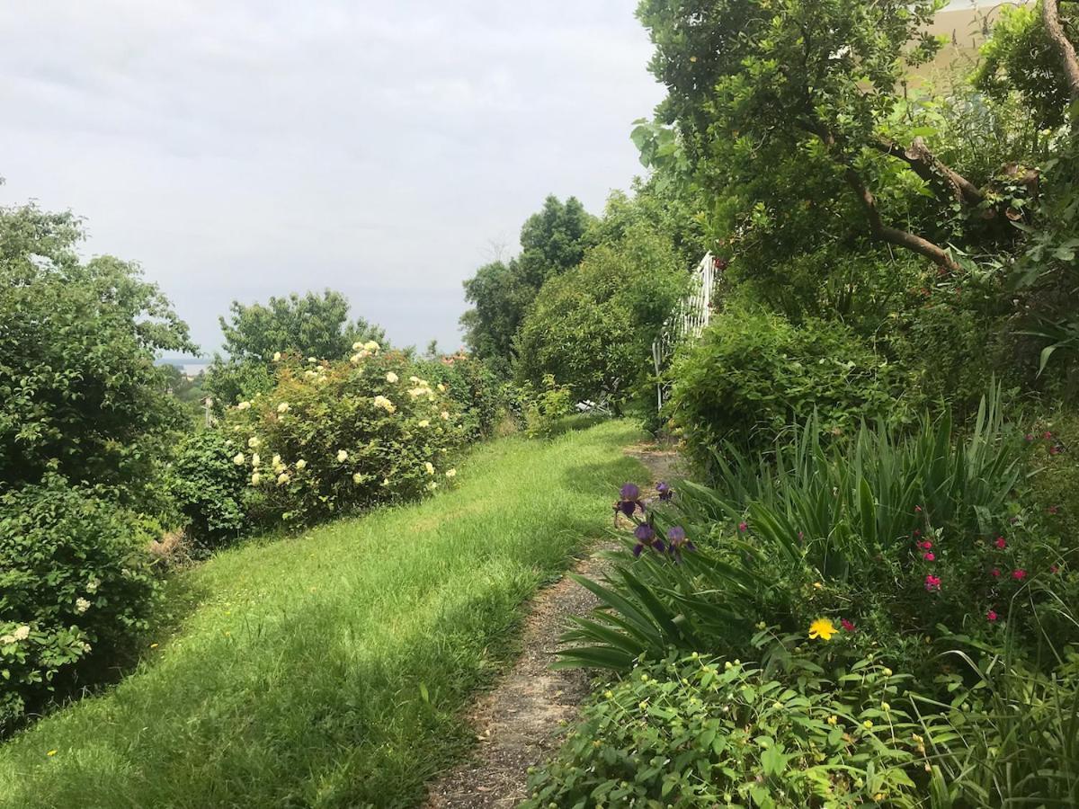 Appartement Avec Vue Panoramique Sur L'Estuaire De La Gironde Plassac  Ngoại thất bức ảnh